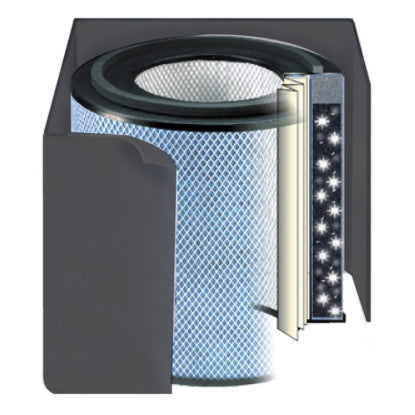 Image of Austin Air HealthMate Plus Air Purifier Filter - Best-AirPurifier