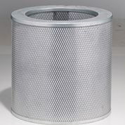 Image of Airpura Replacement 2 Inch Carbon Filter (R, UV, P Models) - Best-AirPurifier