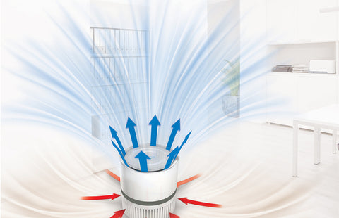 Image of Envion Therapure TPP100 Air Purifier Thera-Silver Filter Technology - Best-AirPurifier