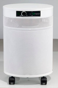 Airpura Air Purifier V600 VOCs and Chemicals - Best-AirPurifier